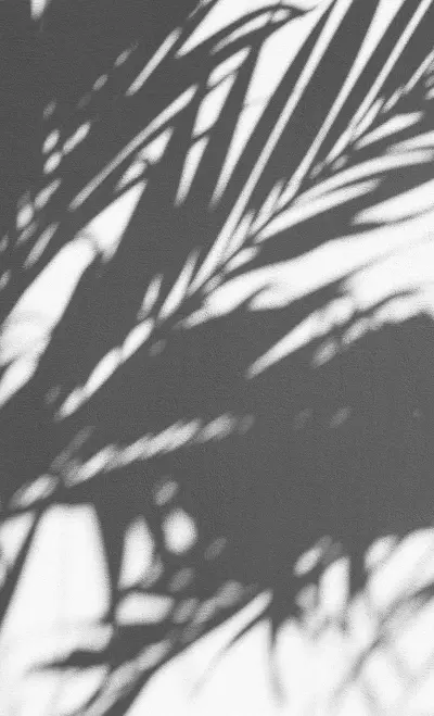 Spaces